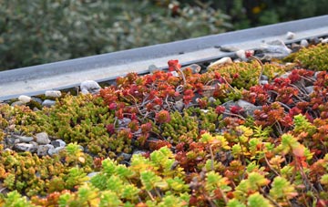 the cost of United Downs green roof installation