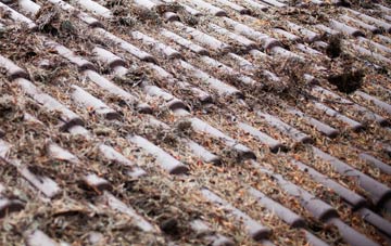 United Downs roof cleaning companies