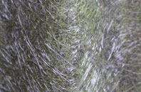 United Downs fibreglass roof work